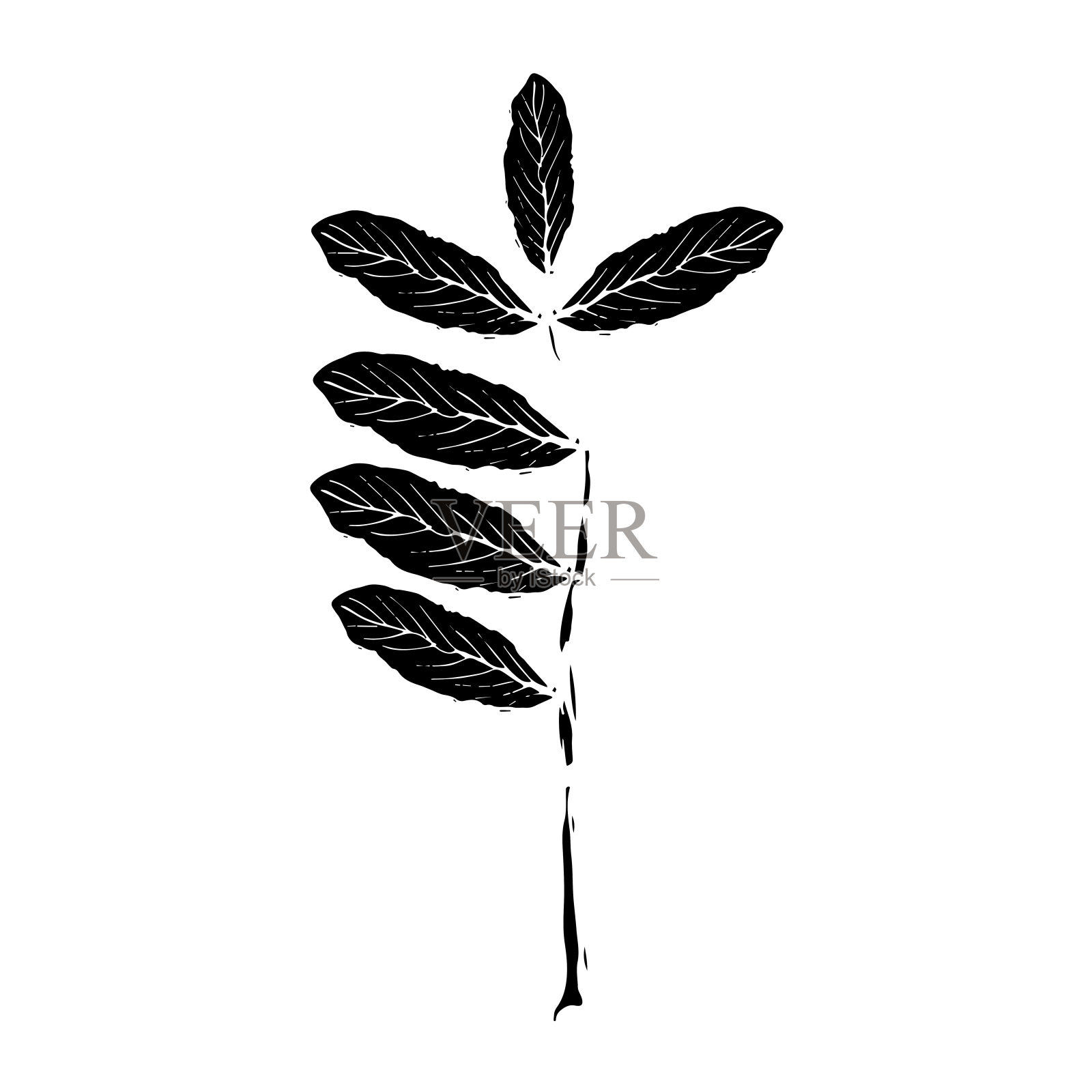 花楸在黑色背景上手绘风格。复古线条艺术特写。插画图片素材