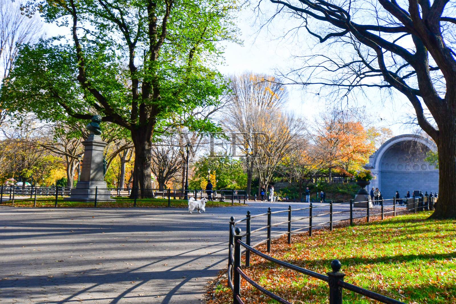 周日早上，纽约中央公园照片摄影图片