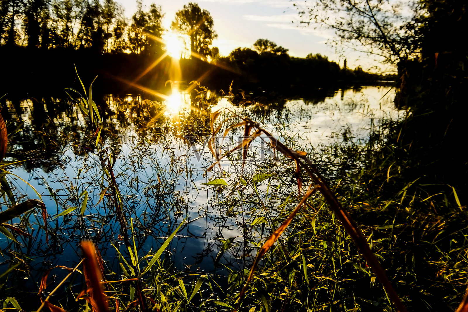 野生布伦塔河照片摄影图片