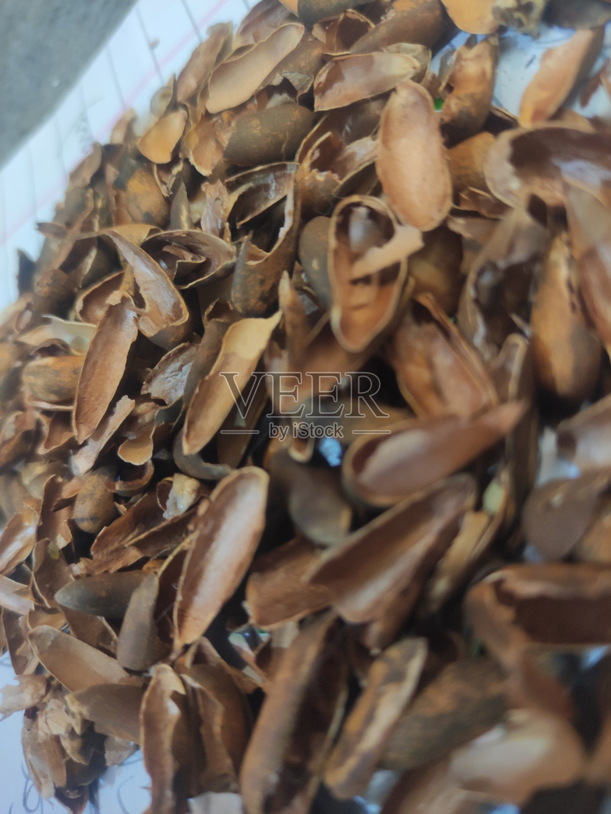 挑剔的照片摄影图片