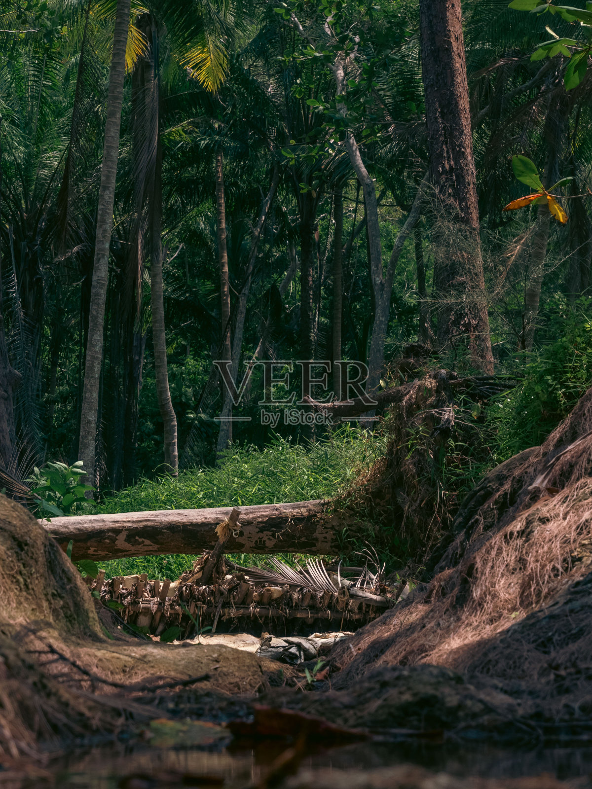 断层山间河流流经的岩石断层照片摄影图片