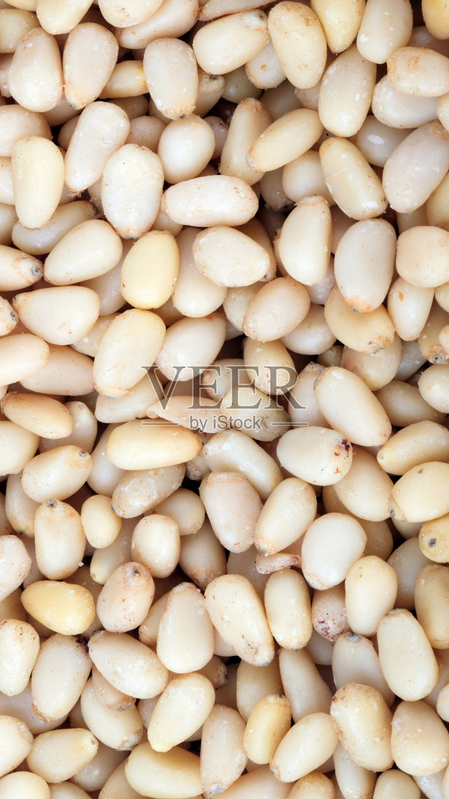 许多雪松在白天结实照片摄影图片