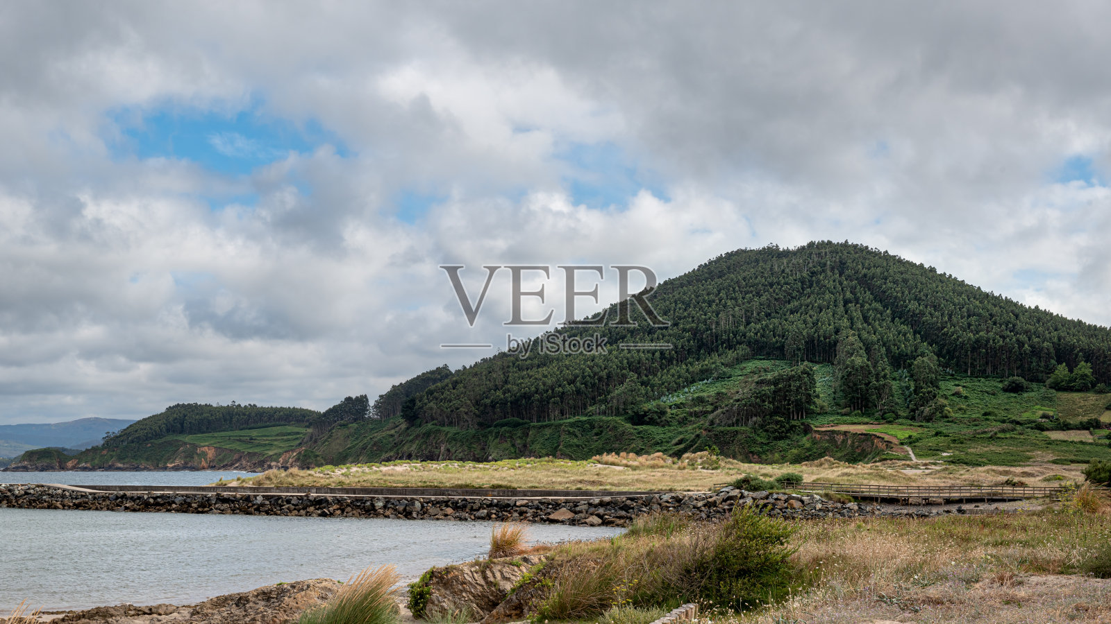 大山种有桉树，造纸业发达照片摄影图片