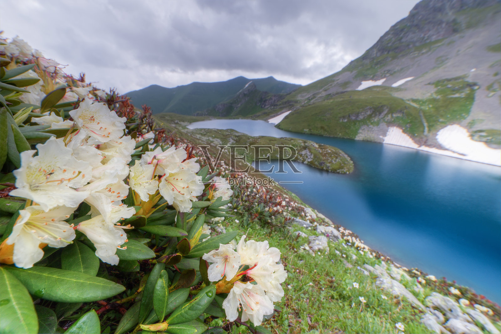 高山湖泊与鲜花照片摄影图片