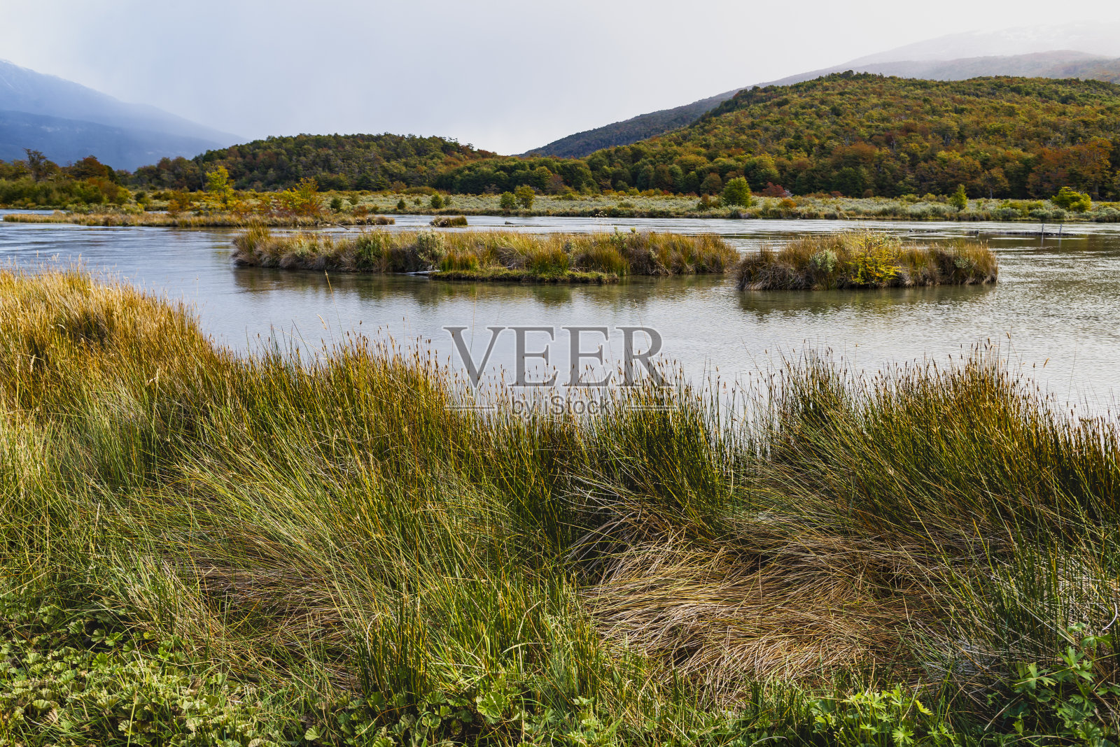 火地岛国家公园，巴塔哥尼亚，阿根廷照片摄影图片