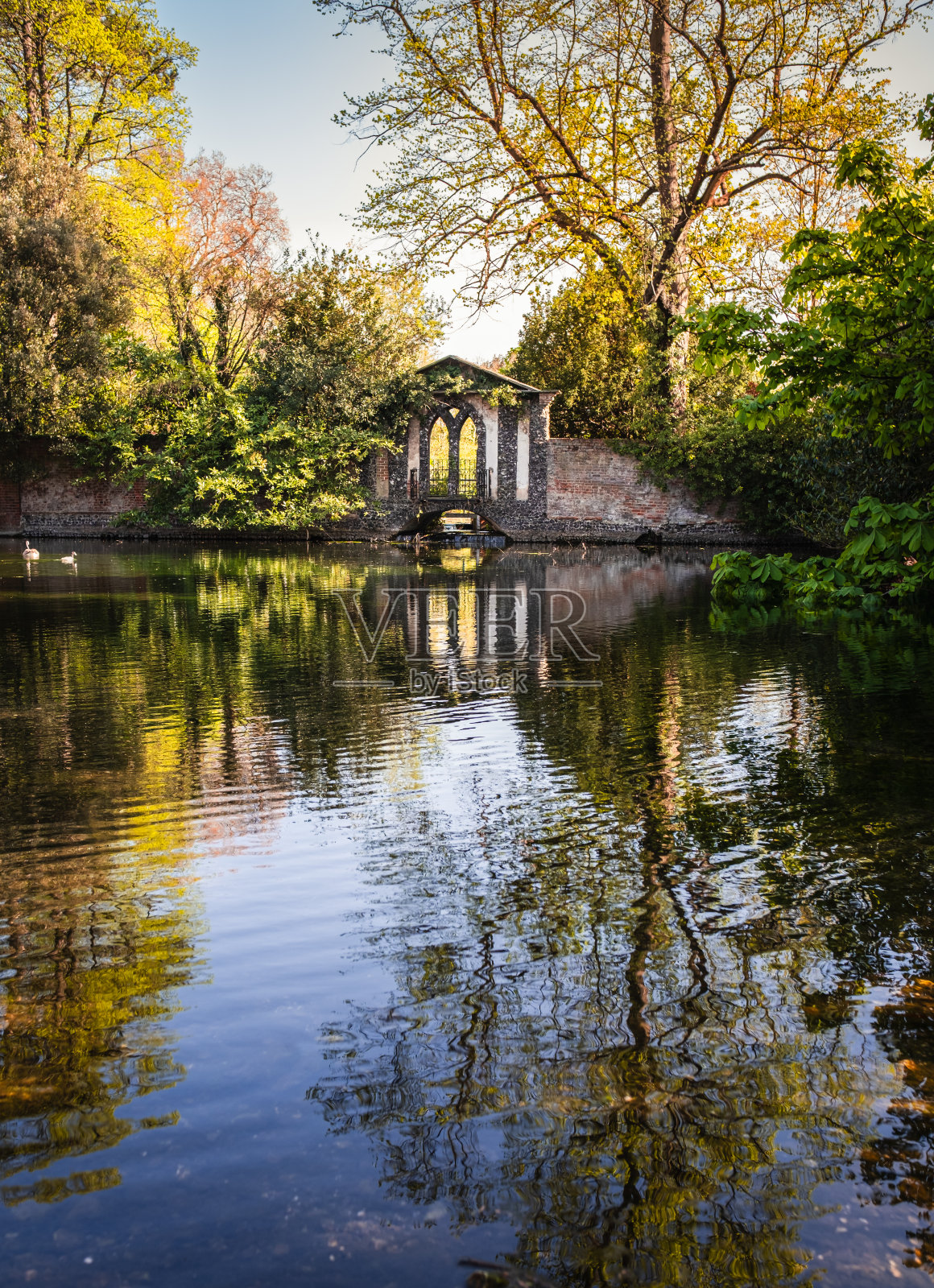 公园景观，春天有池塘，背景有树和拱门照片摄影图片