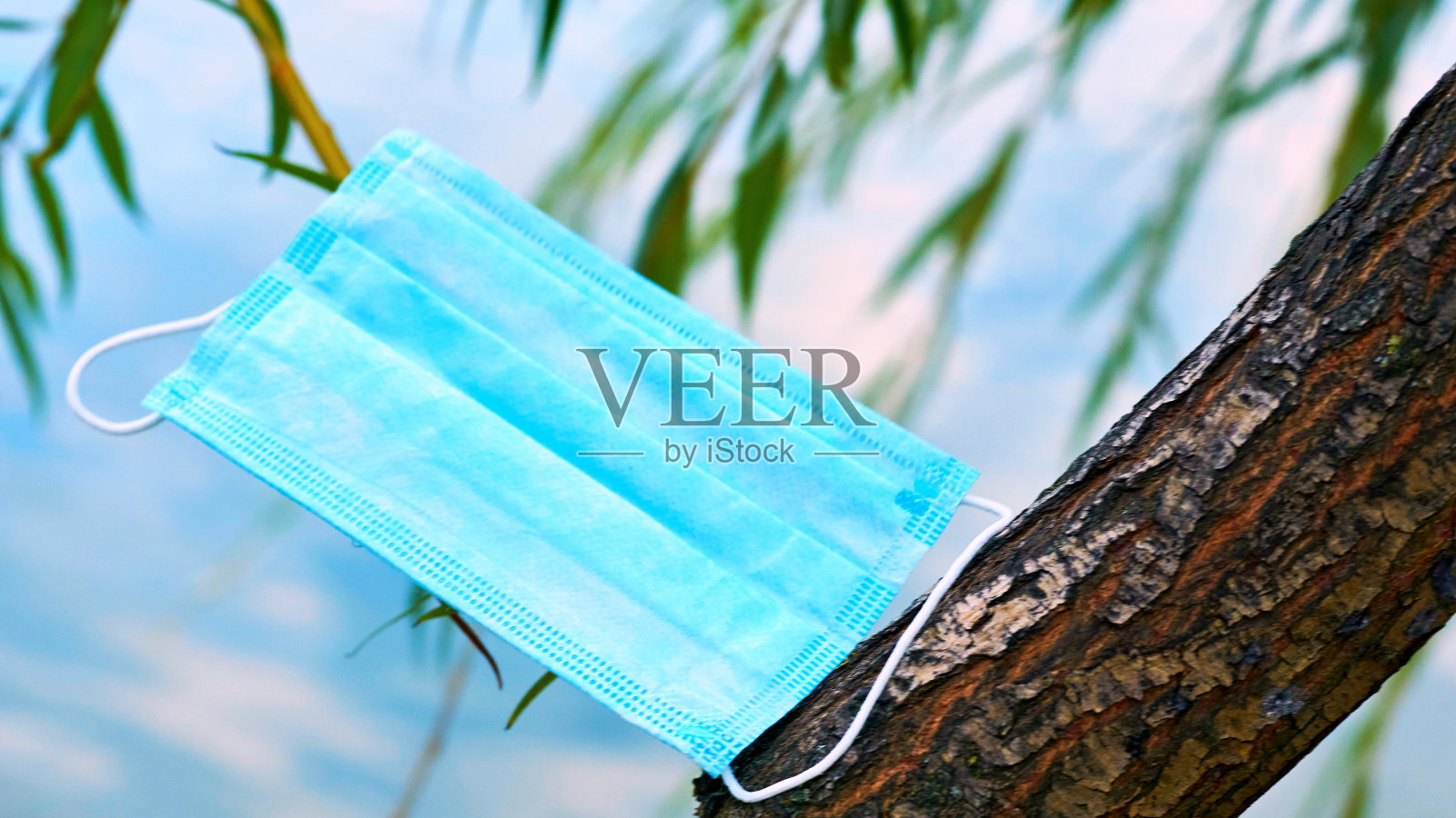 蓝天下的绿枝防护面具照片摄影图片