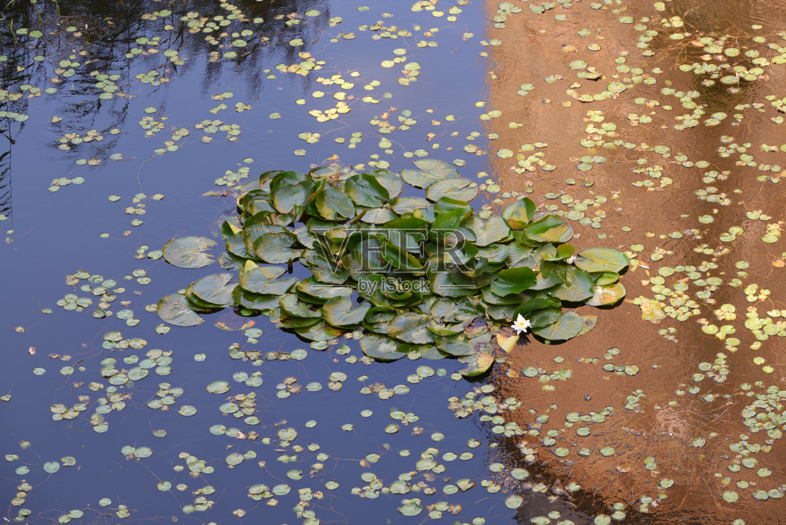 映像照片摄影图片