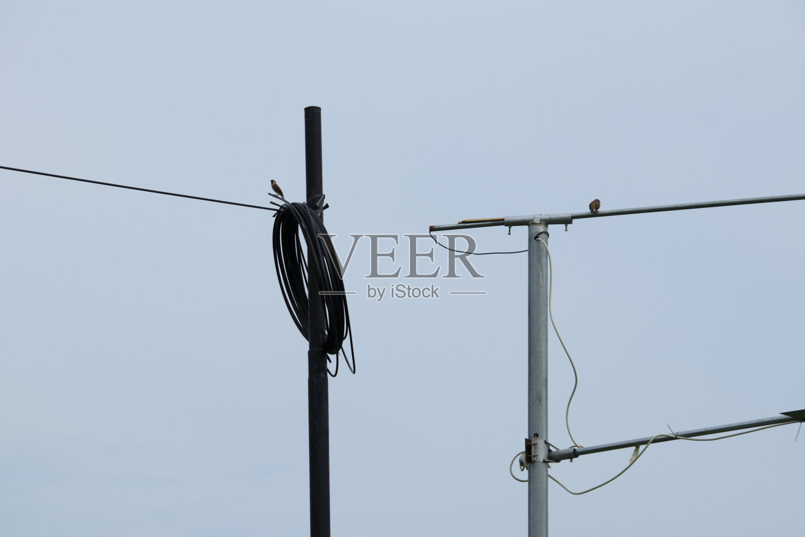 一种电线杆，电缆的一端卷起来，表明它是在清晰的白色天空背景上隔离的电缆电路的一端照片摄影图片