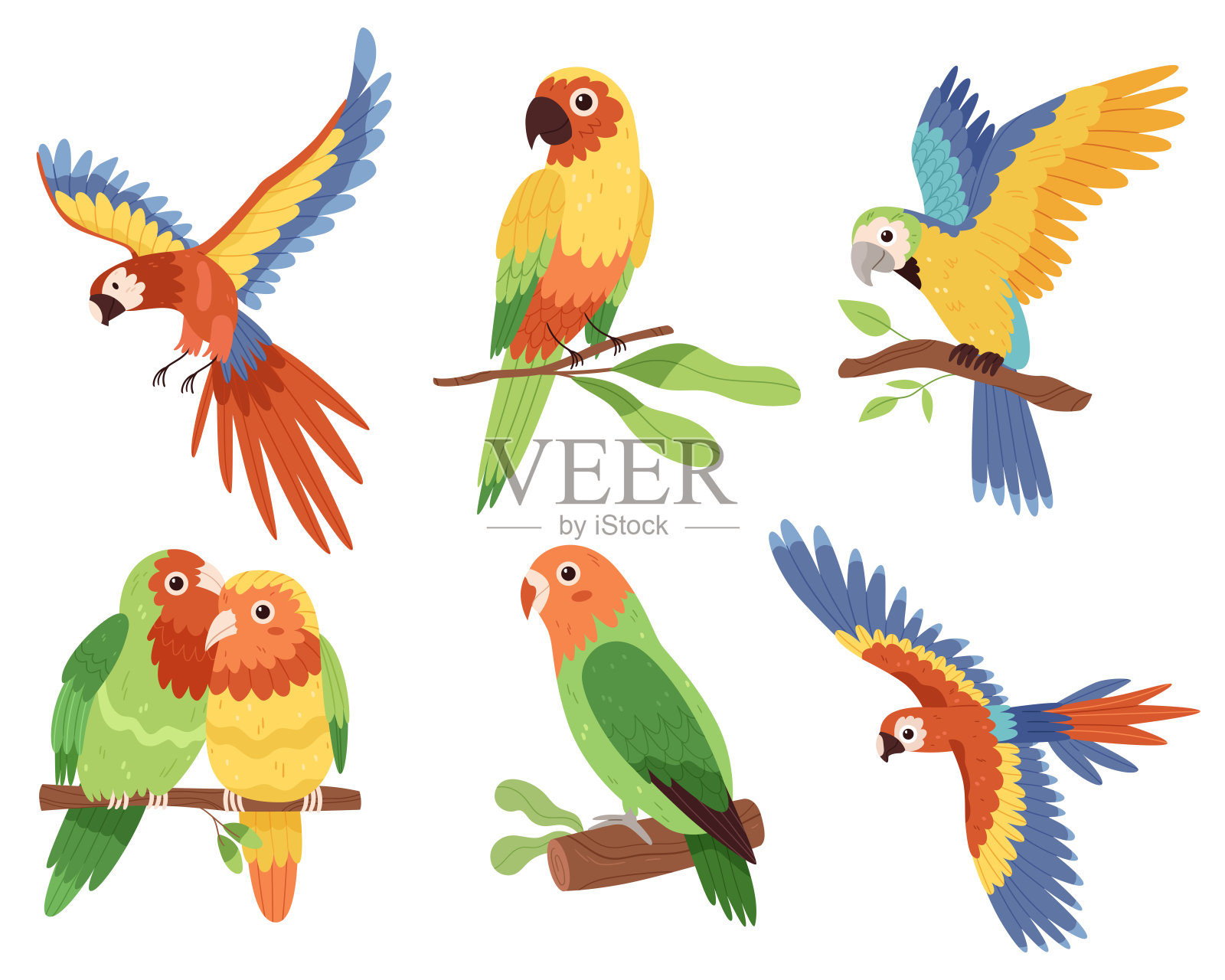 色彩缤纷的作品集鹦鹉鸟在热带树叶上鲜艳的色彩。手绘风格插画图片素材