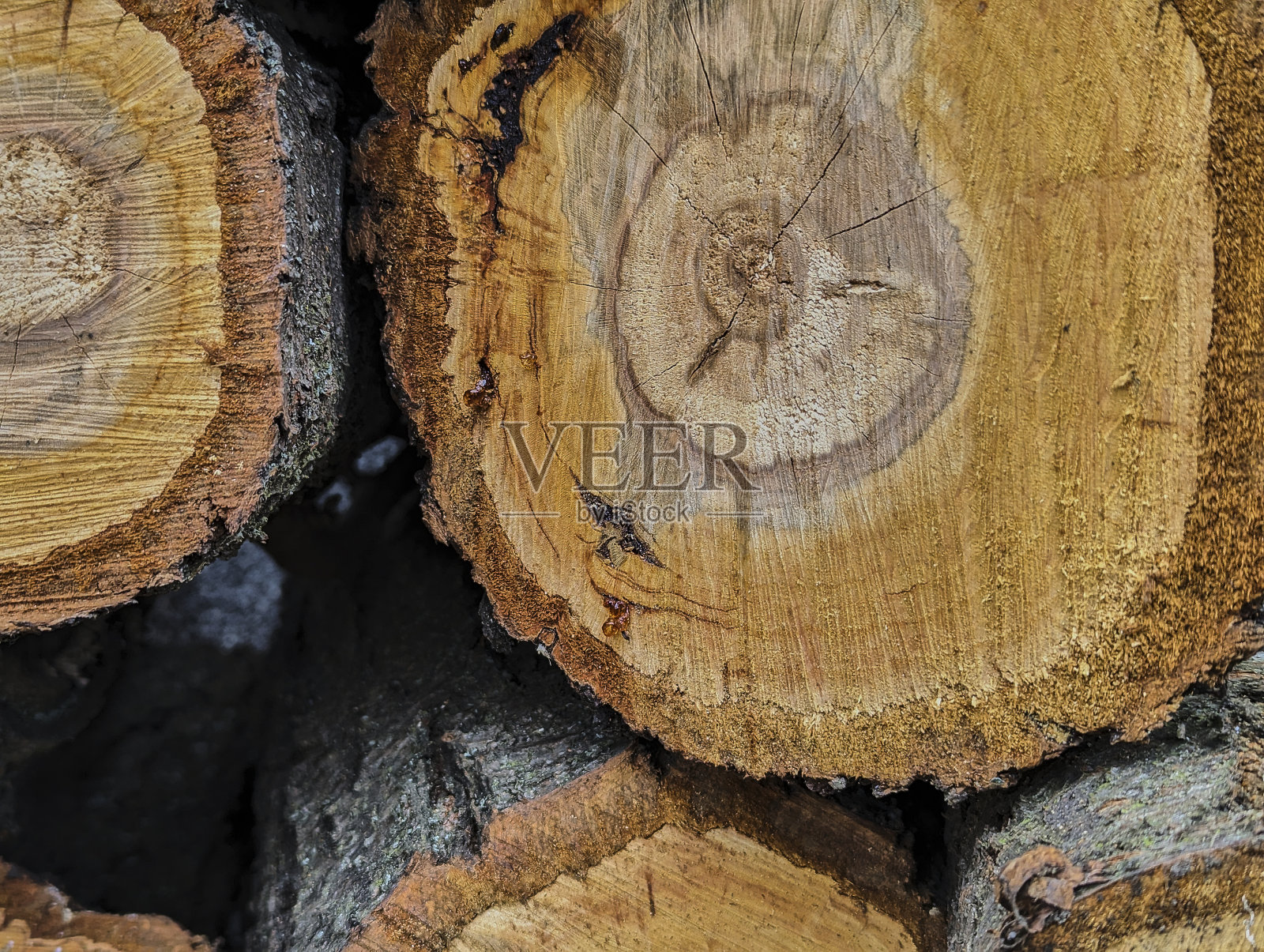 纹理新鲜的木刻，背景，垃圾照片摄影图片