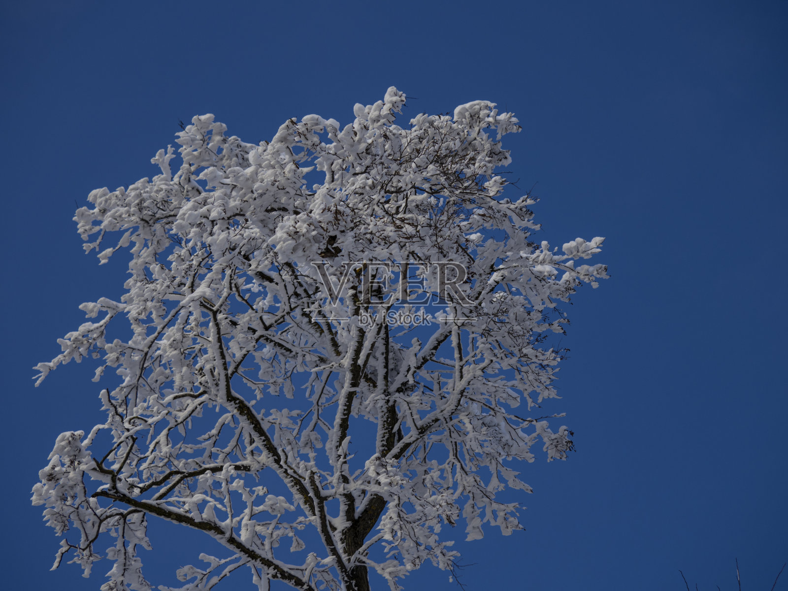 冬天的风景照片摄影图片