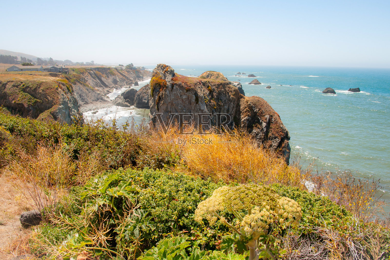 俄勒冈海岸之美照片摄影图片