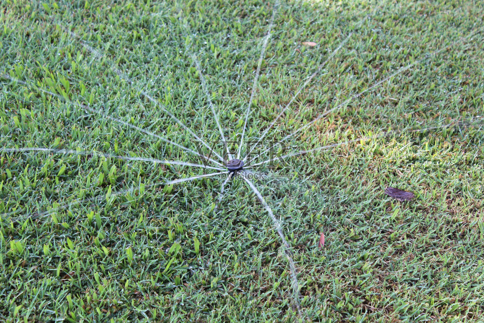洒水车浇灌着郁郁葱葱的绿色草坪照片摄影图片