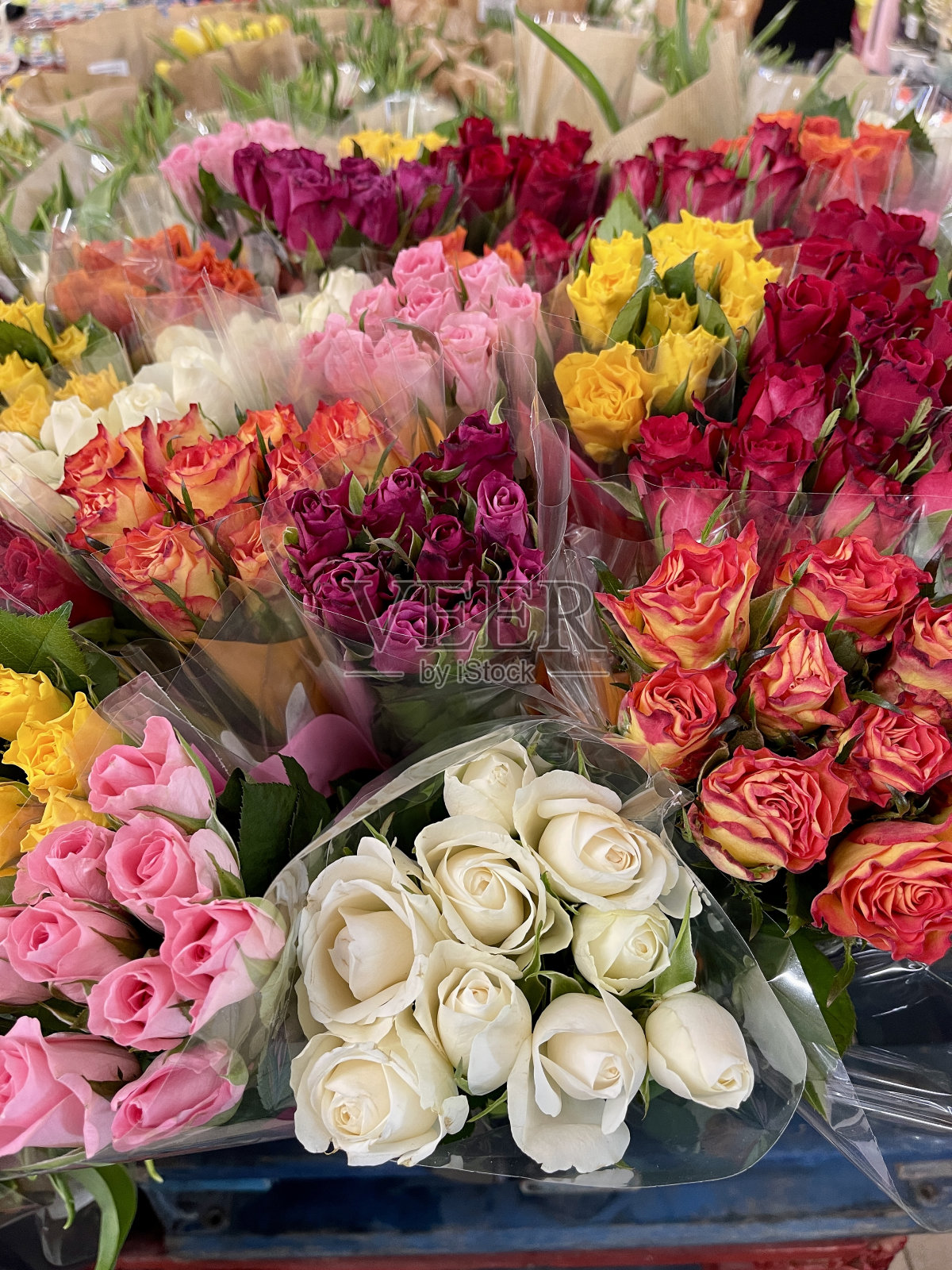 花照片摄影图片