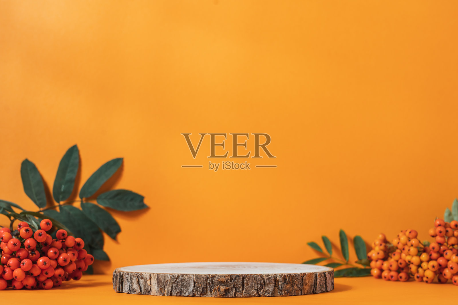 木架工作室空无一人照片摄影图片