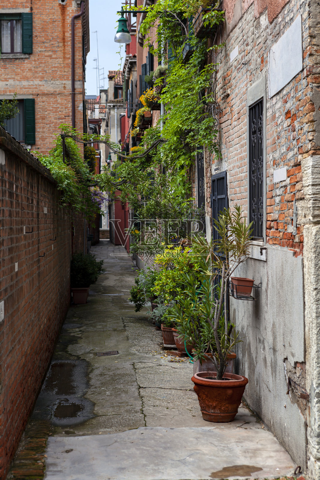 Typical narrow street with historical houses in Venice.照片摄影图片