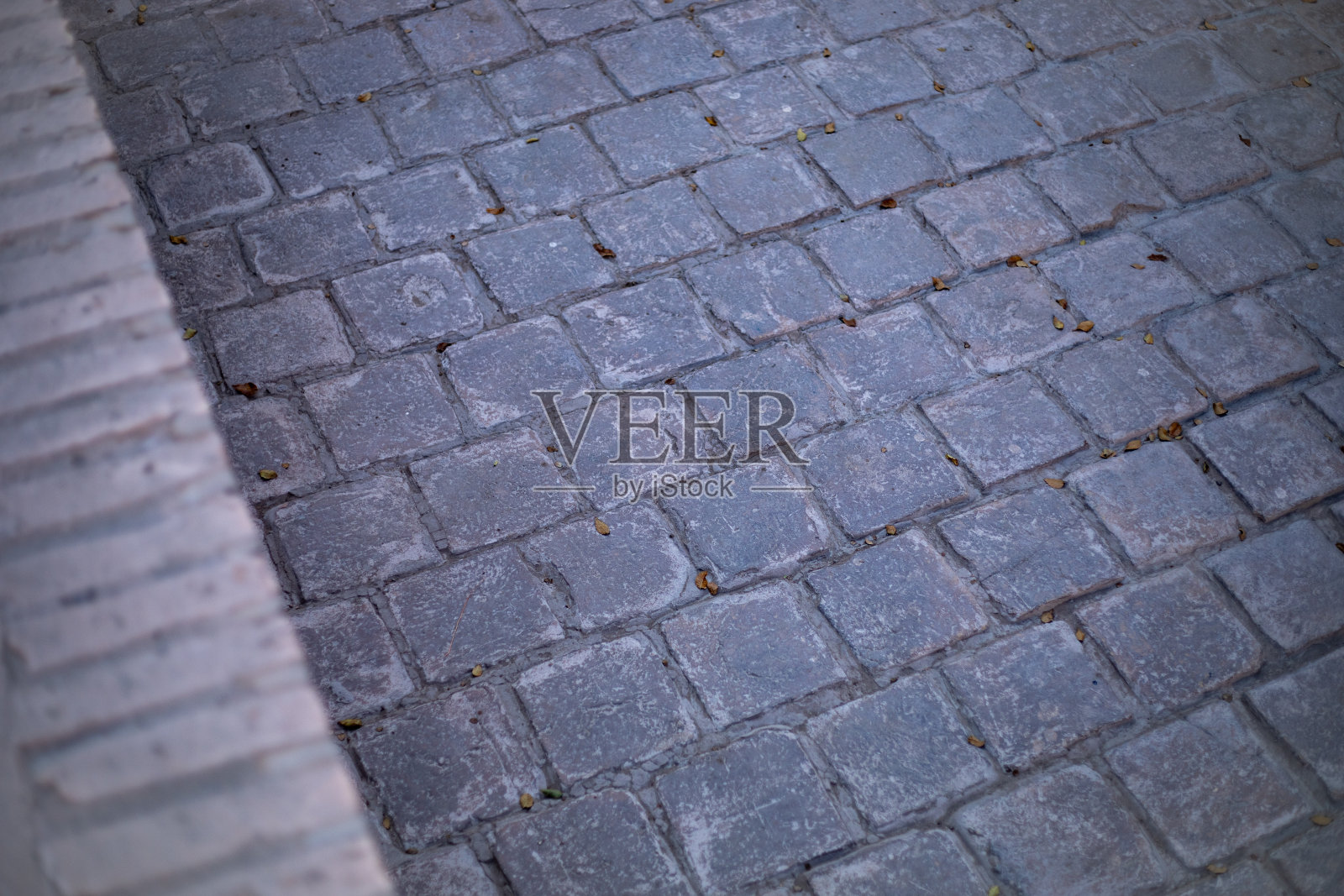 希瓦照片摄影图片