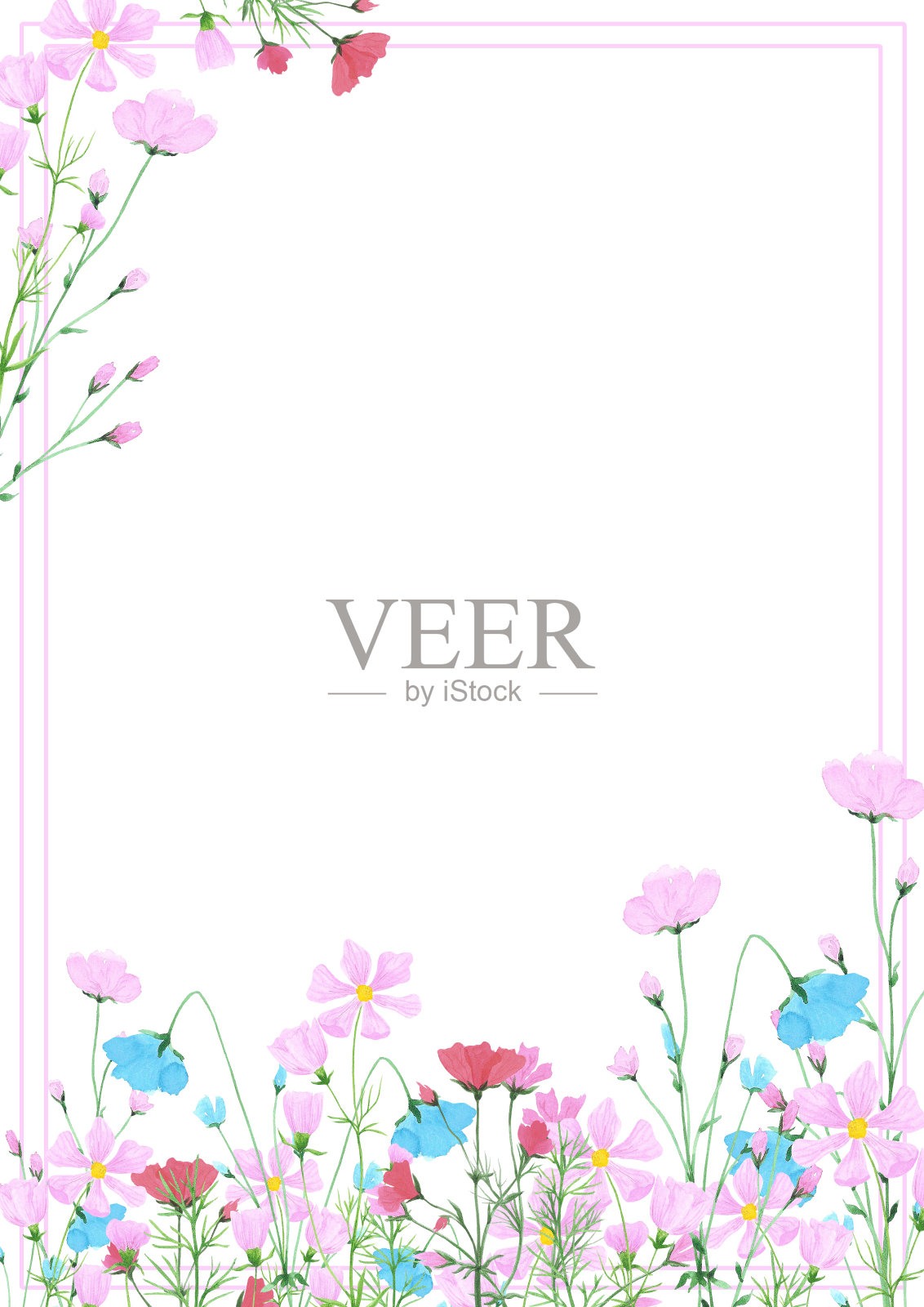 手绘水彩雏菊野花框架边界孤立的白色背景。可用于卡片、请柬等印刷品。插画图片素材