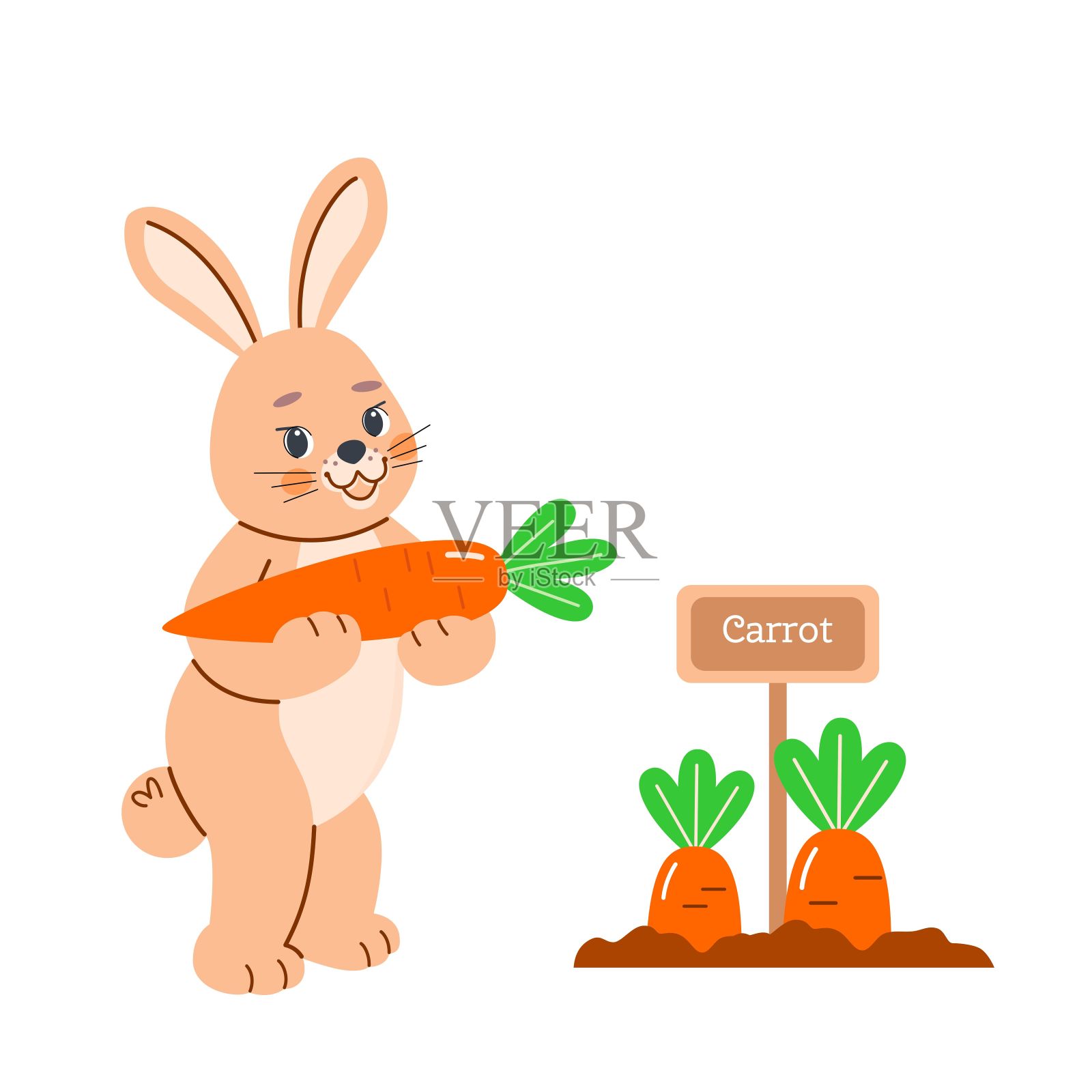 可爱的兔子用爪子抓着成熟的胡萝卜。收获的概念在花园的床上，春天，插画图片素材