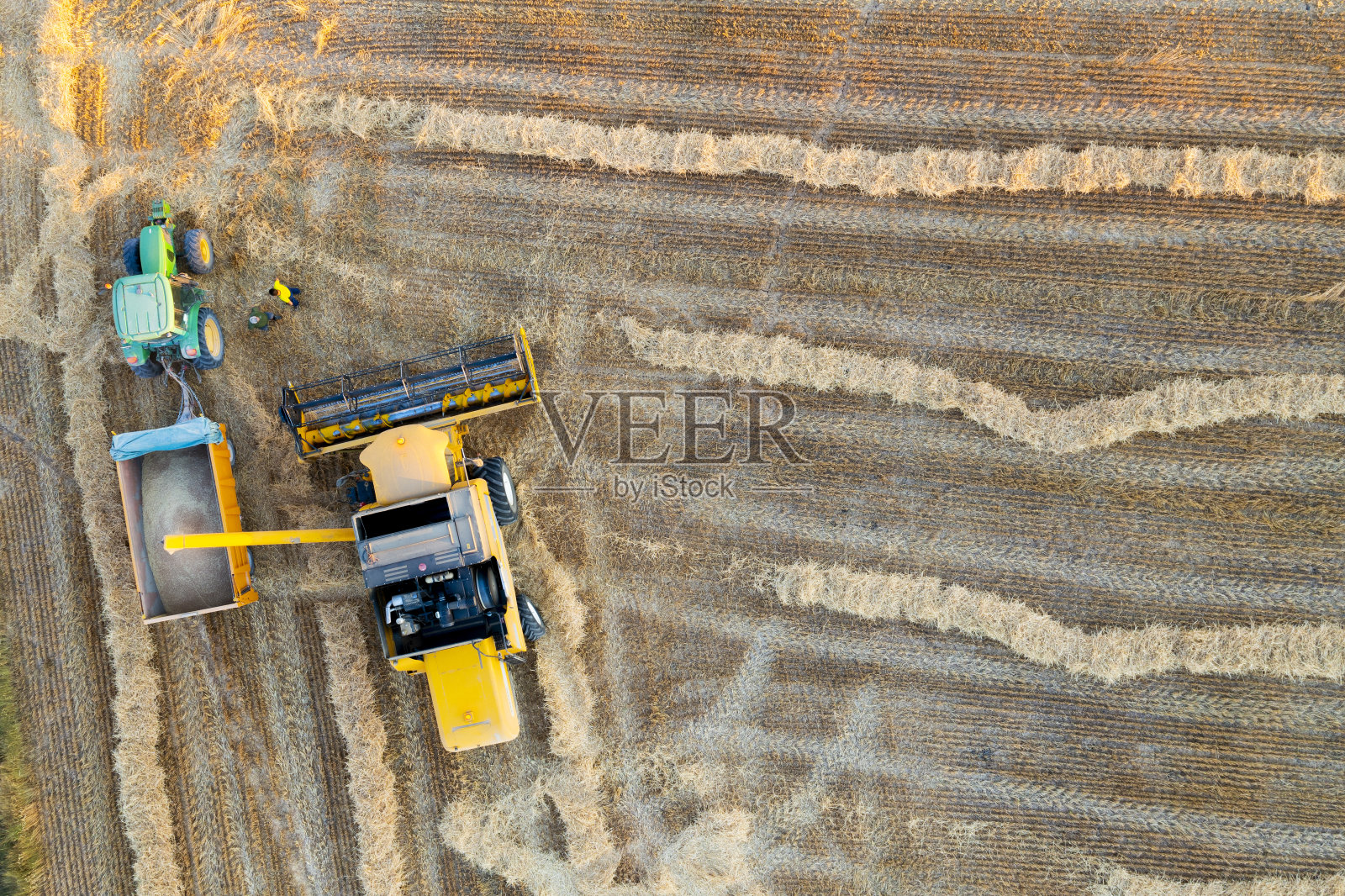 联合收割机收割小麦的鸟瞰图。照片摄影图片
