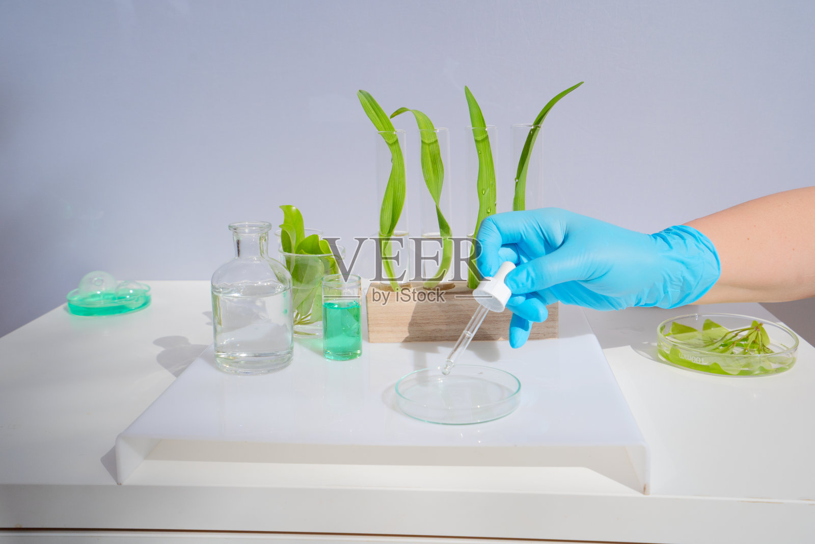 科学与自然观照片摄影图片