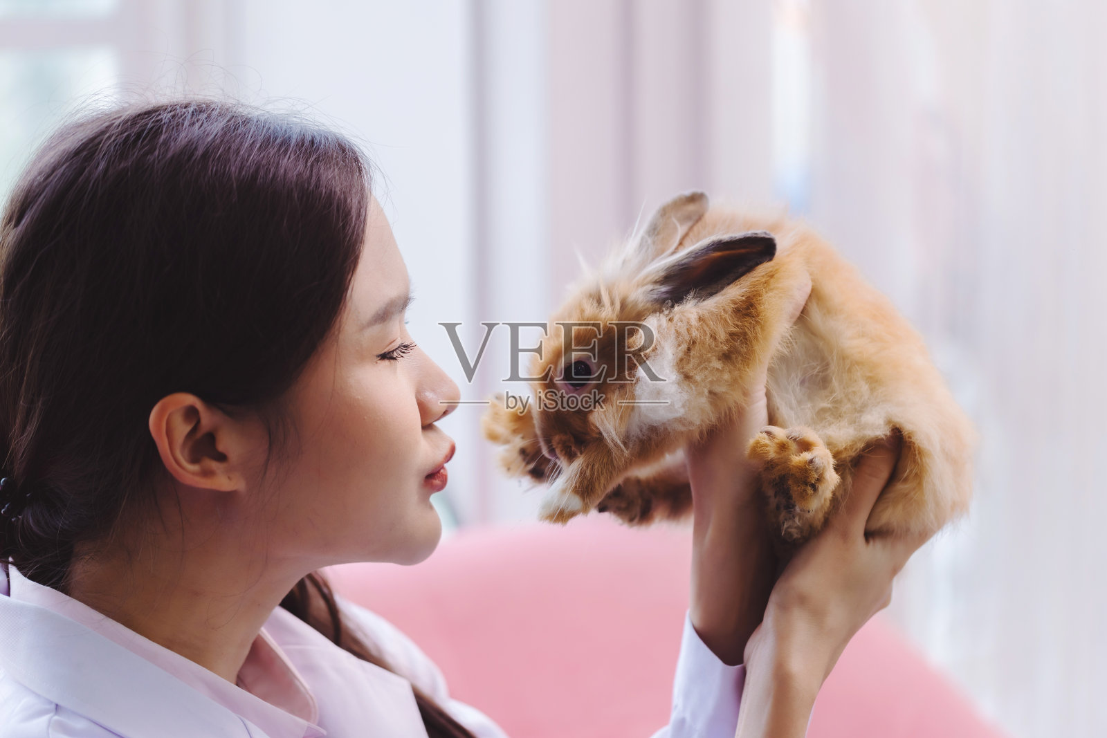 科学家或药剂师在实验室里抱着可爱的毛茸茸的兔子。与复活节兔子的友谊。照片摄影图片