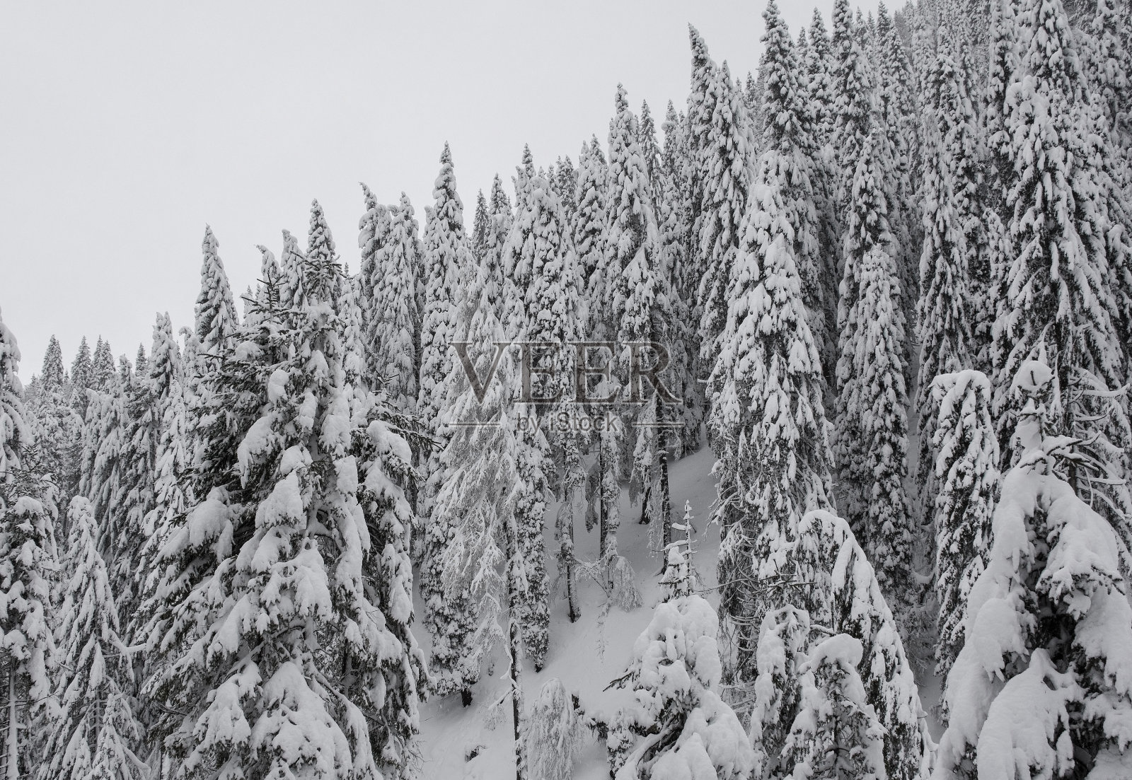 冬天在Val Pontebbana，意大利东北部照片摄影图片