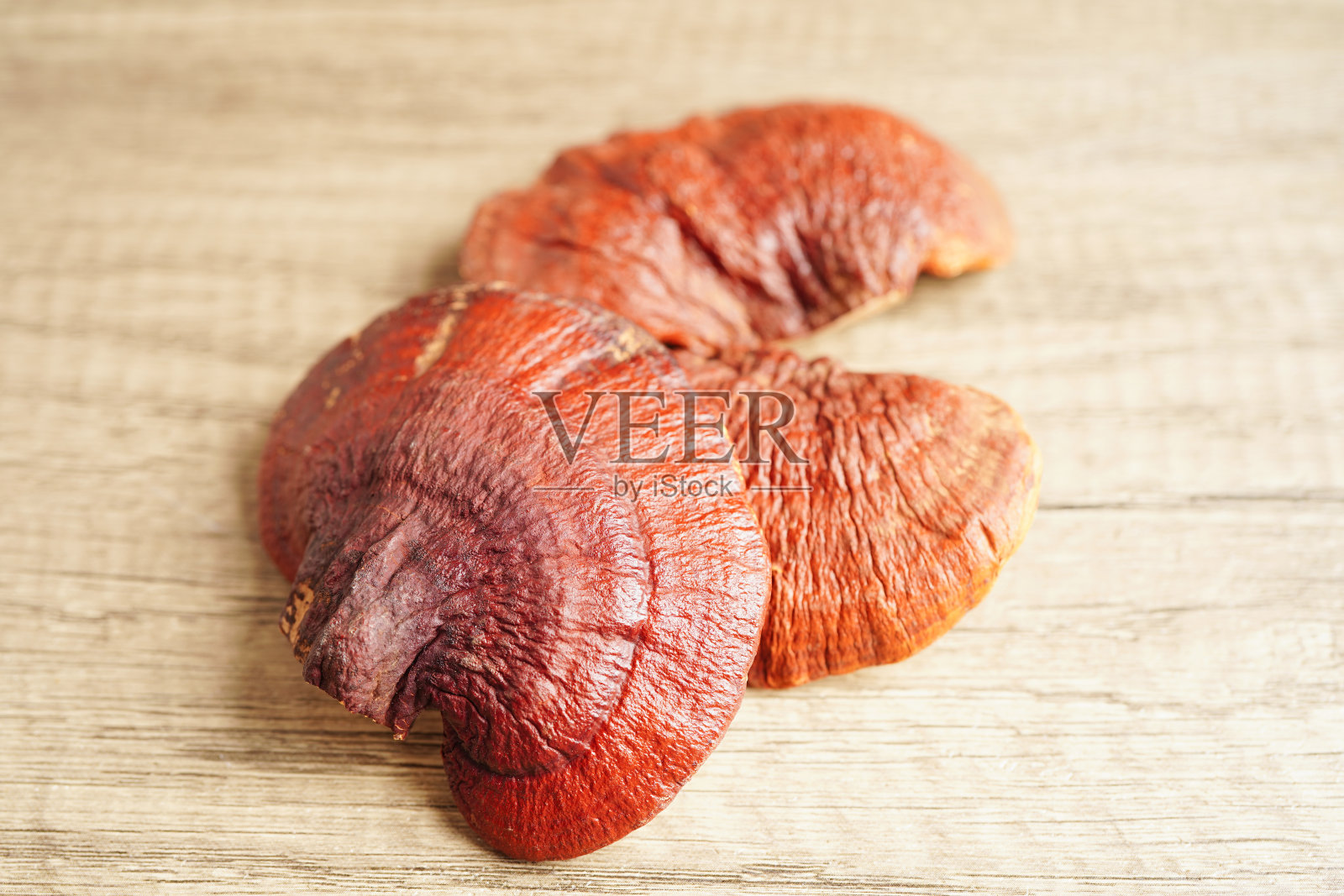 灵芝或灵芝用胶囊，有机天然健康食品。照片摄影图片