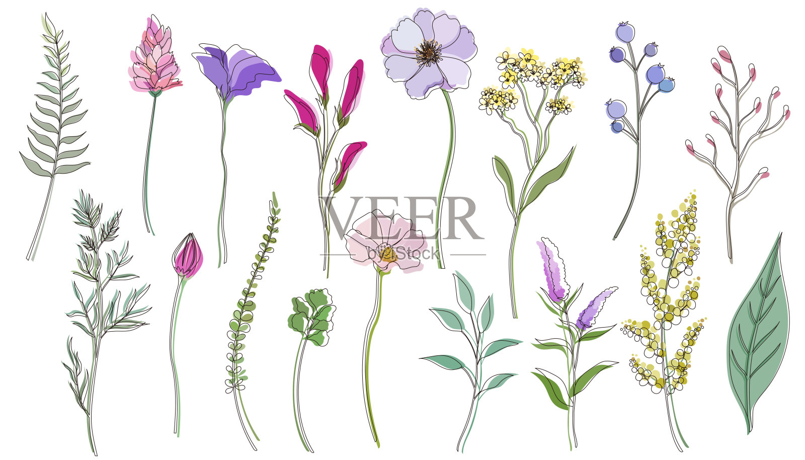 春天花叶插图用黑线。简单而扁平的设计植物花卉矢量插图集。插画图片素材