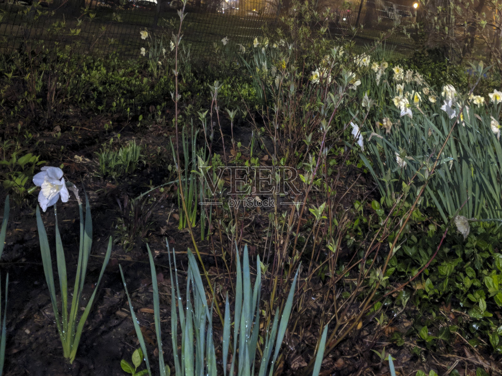 曼哈顿夜晚的人行道照片摄影图片