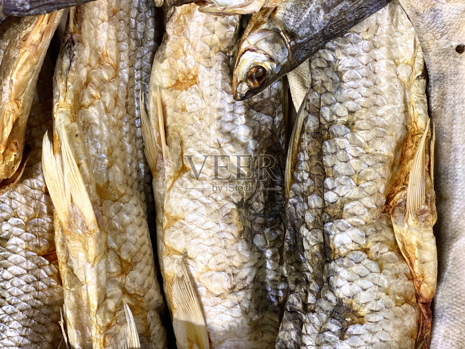 干鱼背景为设计师照片摄影图片