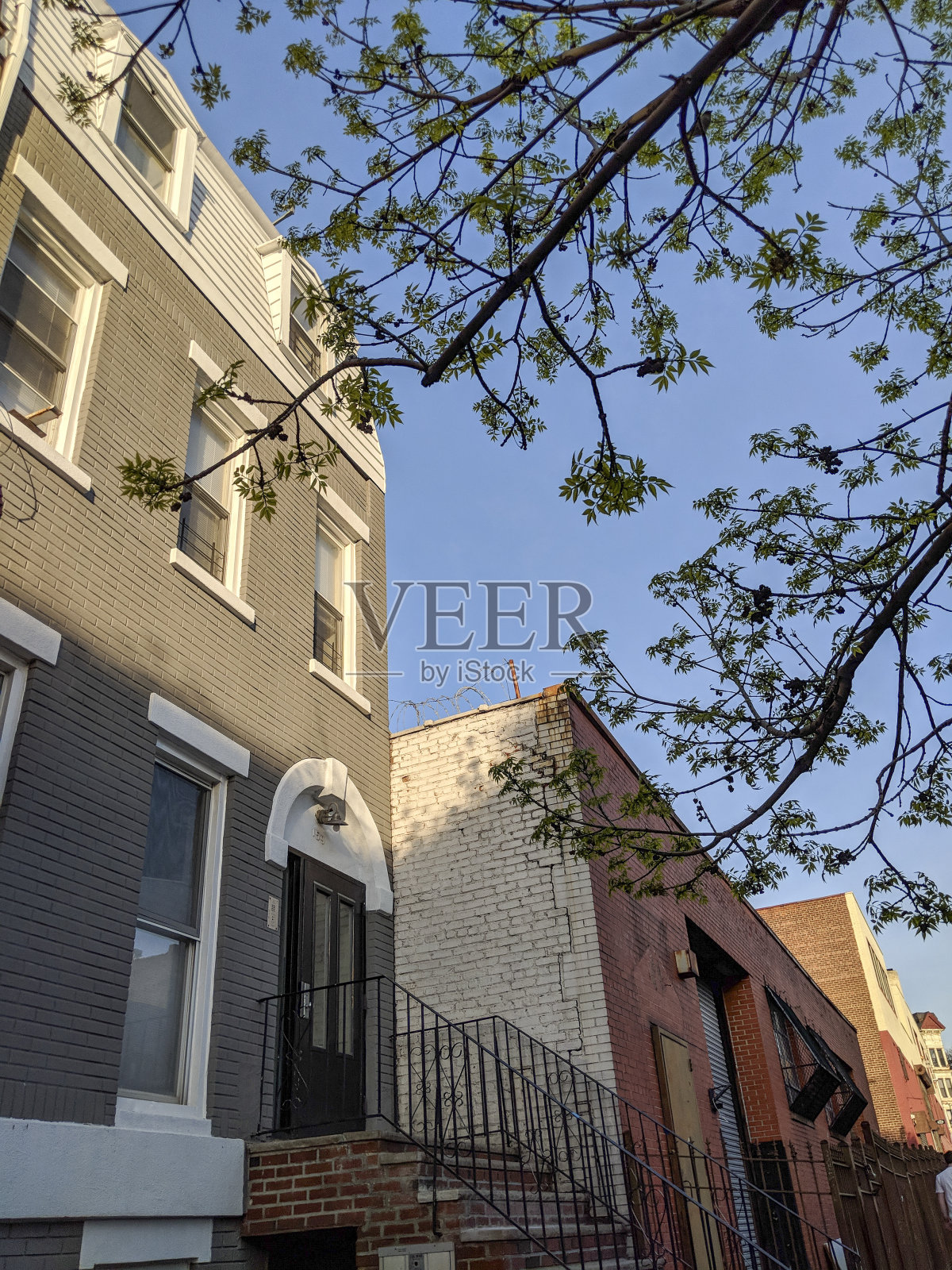 住宅建筑，布鲁克林，纽约照片摄影图片