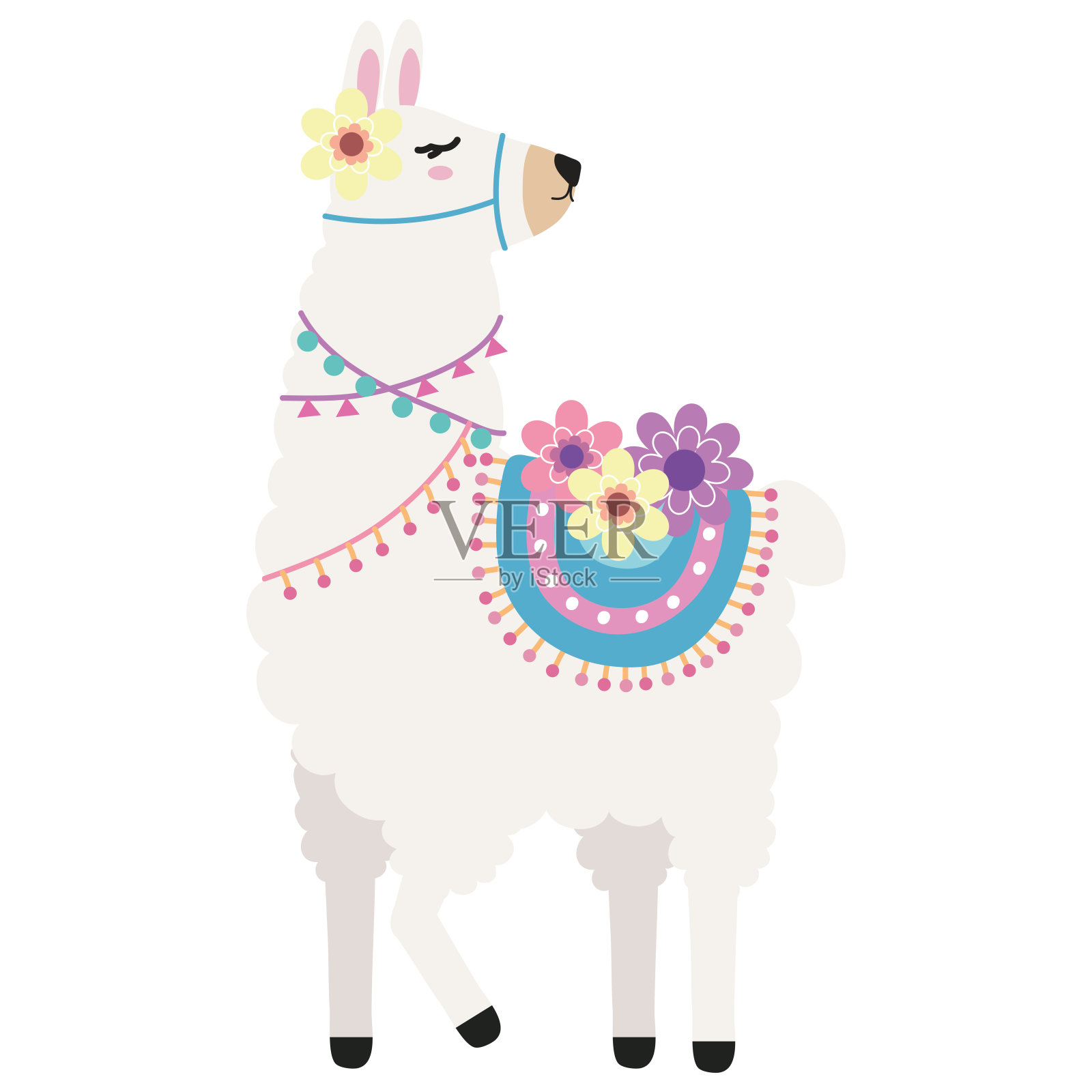 可爱的骆驼站立姿势插画图片素材