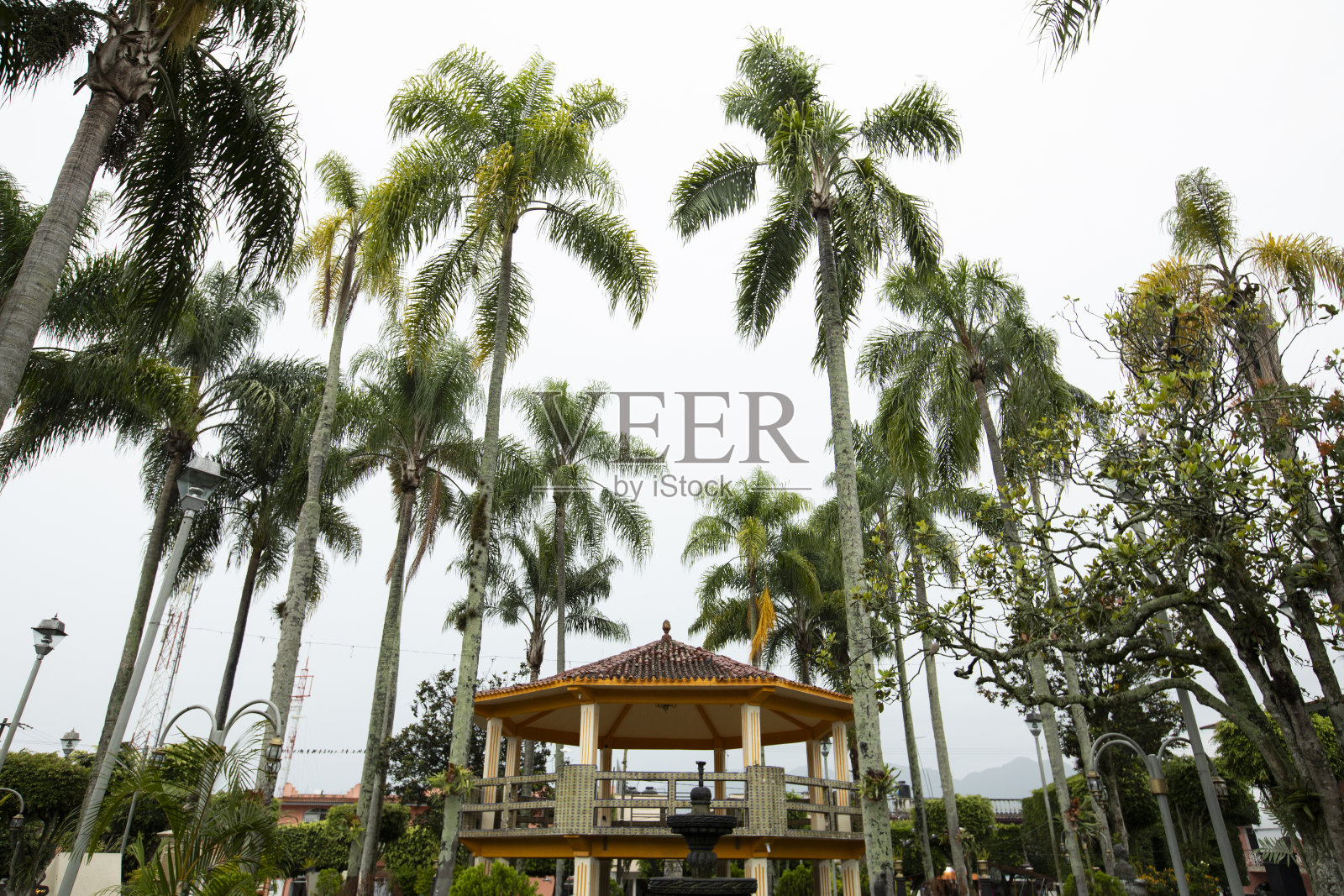 Huatusco de Chicuellar Veracruz广场照片摄影图片