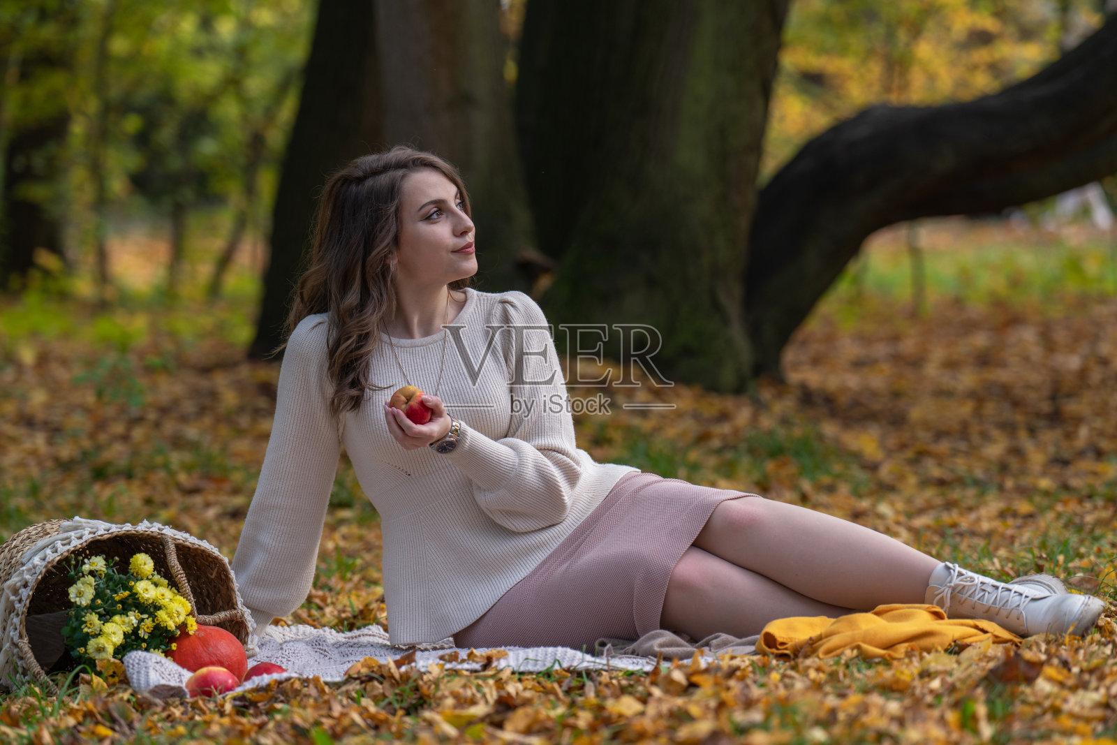 一个美丽的微笑的女孩的肖像，深色头发和大眼睛。秋天在公园散步。一个女孩坐在篮子旁边，篮子里放着苹果、南瓜和鲜花照片摄影图片