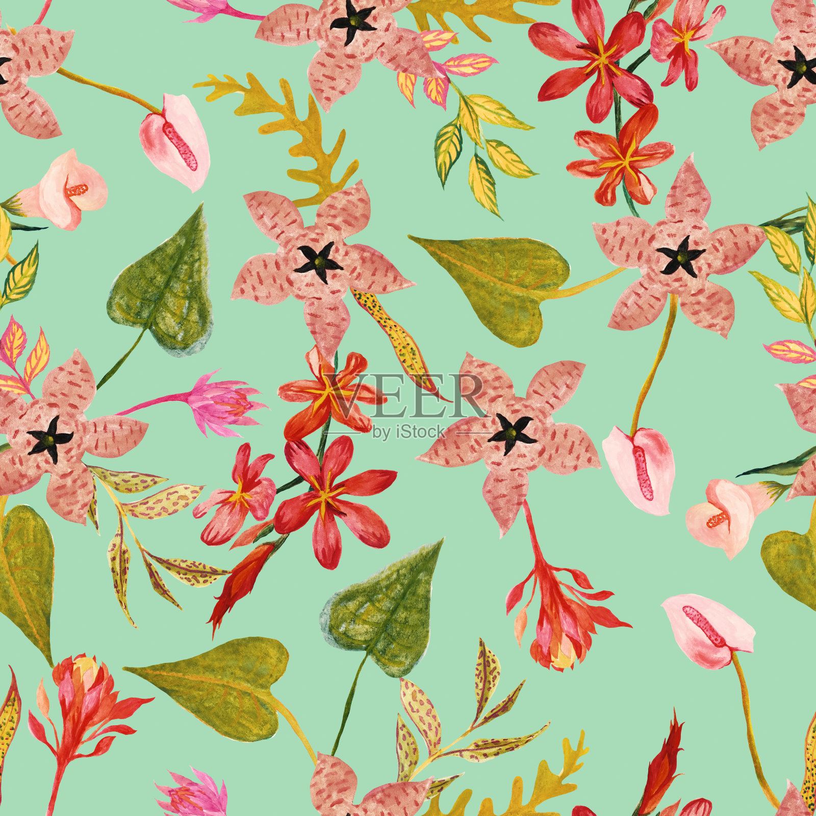 热带花型插画图片素材