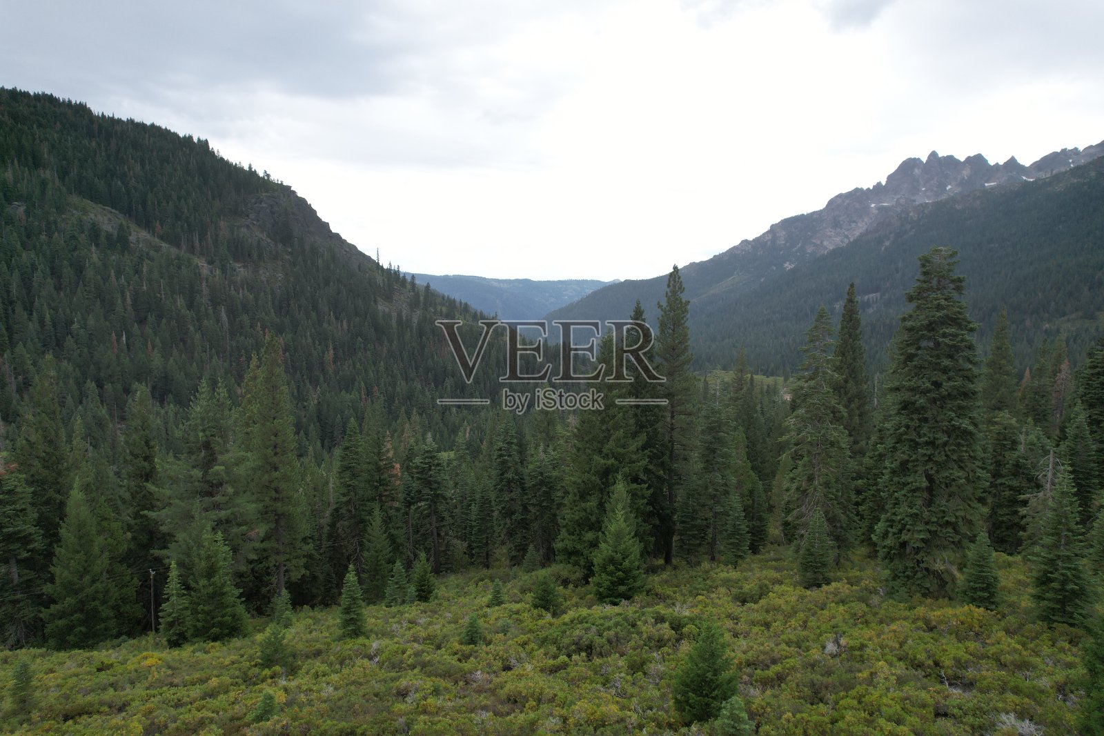 航拍照片尤里卡普拉马斯森林，湖盆地，加利福尼亚照片摄影图片