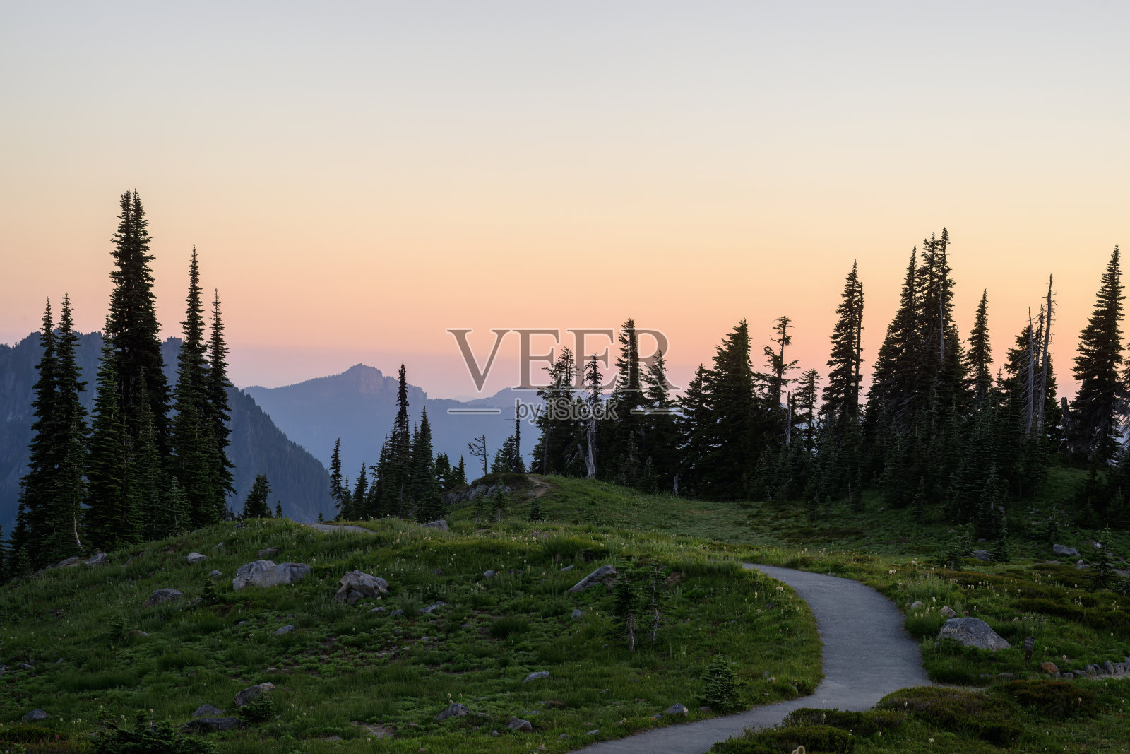 日落时的天堂。雷尼尔山国家公园。华盛顿州。美国。照片摄影图片