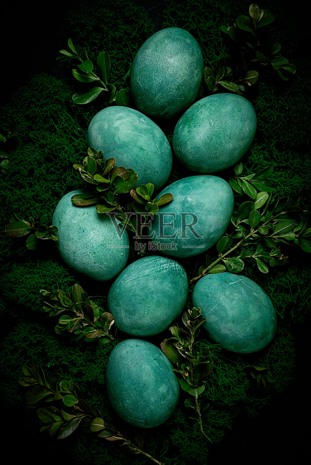 复活节彩蛋，绿色，苔藓，黄杨木，俯视图，没有人，绿色的彩蛋，照片摄影图片