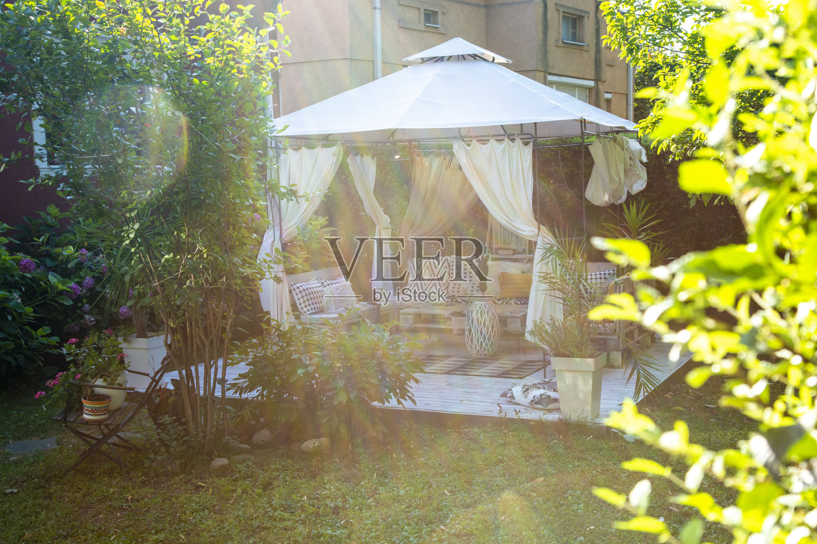 我家后院的夏天照片摄影图片