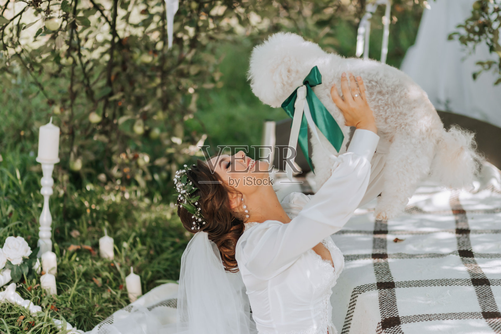 年轻优雅的新娘穿着白色礼服，头上戴着鲜花头饰，和她的贵宾犬在花园里摆姿势照片摄影图片