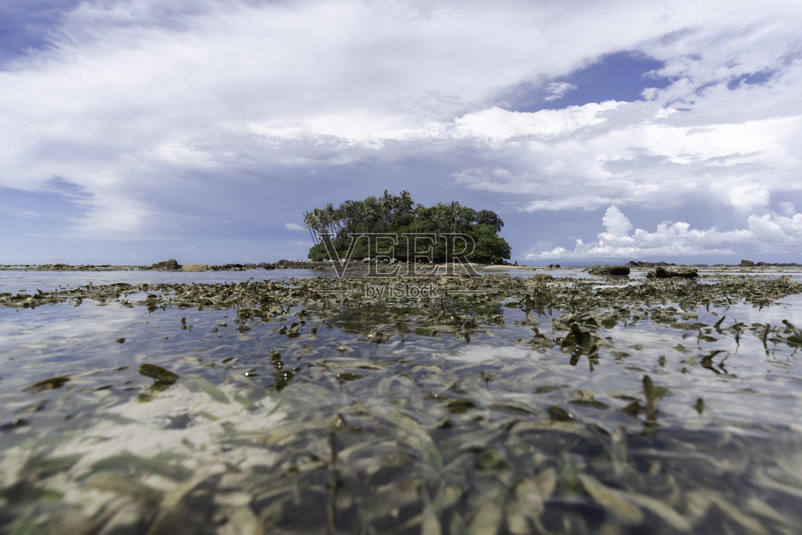 海参岛，五彩缤纷的小岛和透明的海水。普吉岛，泰国。照片摄影图片