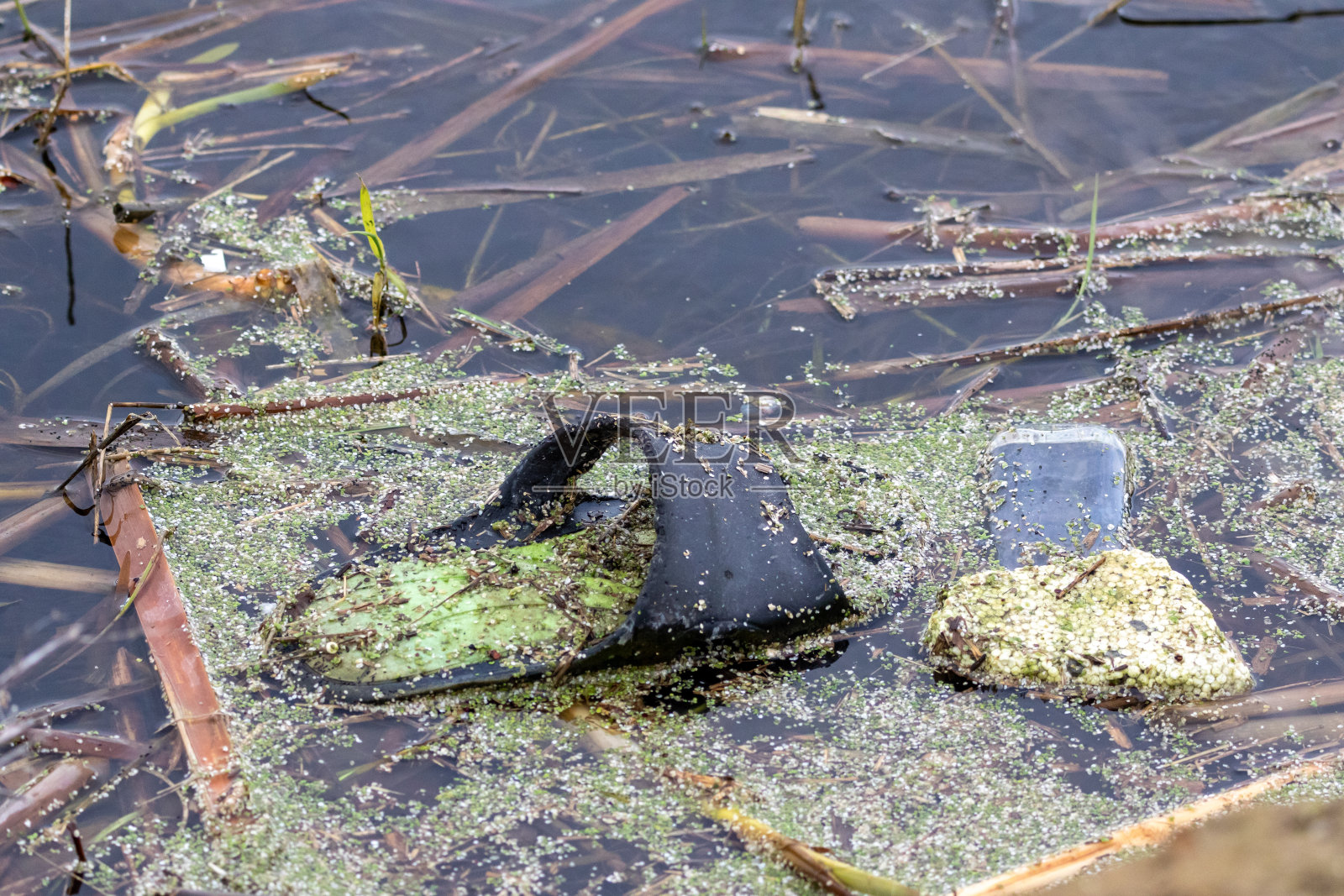 河流或湖泊中的塑料垃圾。照片摄影图片