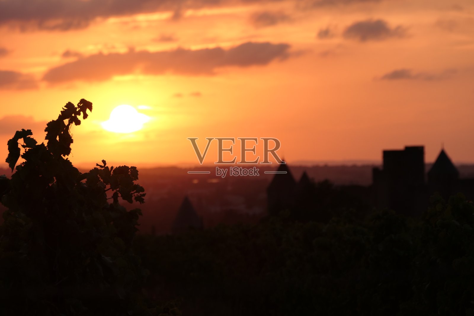 从葡萄园俯瞰卡尔卡松设防城市的日落景色。由Viollet-le-Duc修复的中世纪建筑群。被联合国教科文组织列为世界遗产。奥德省。Occitania。法国照片摄影图片