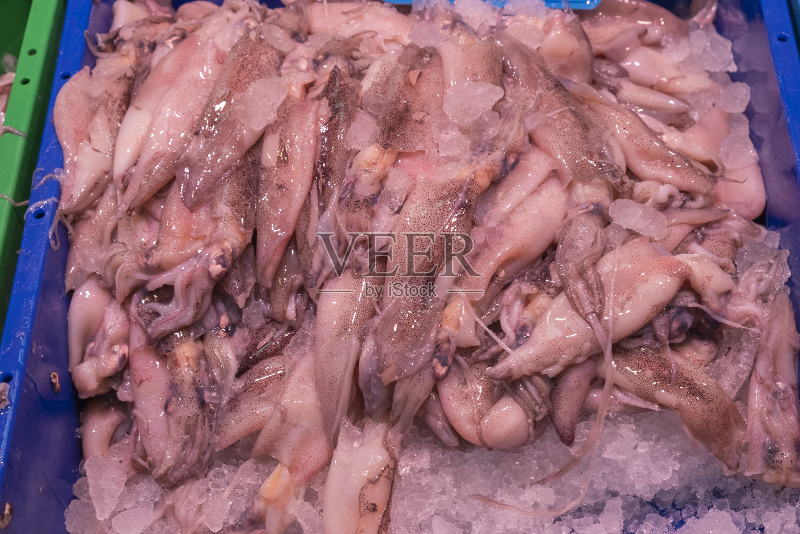 新鲜的鱿鱼(Loligo duvauceli)刚从渔船上卸下，在西班牙沿海小镇的市场上出售。照片摄影图片