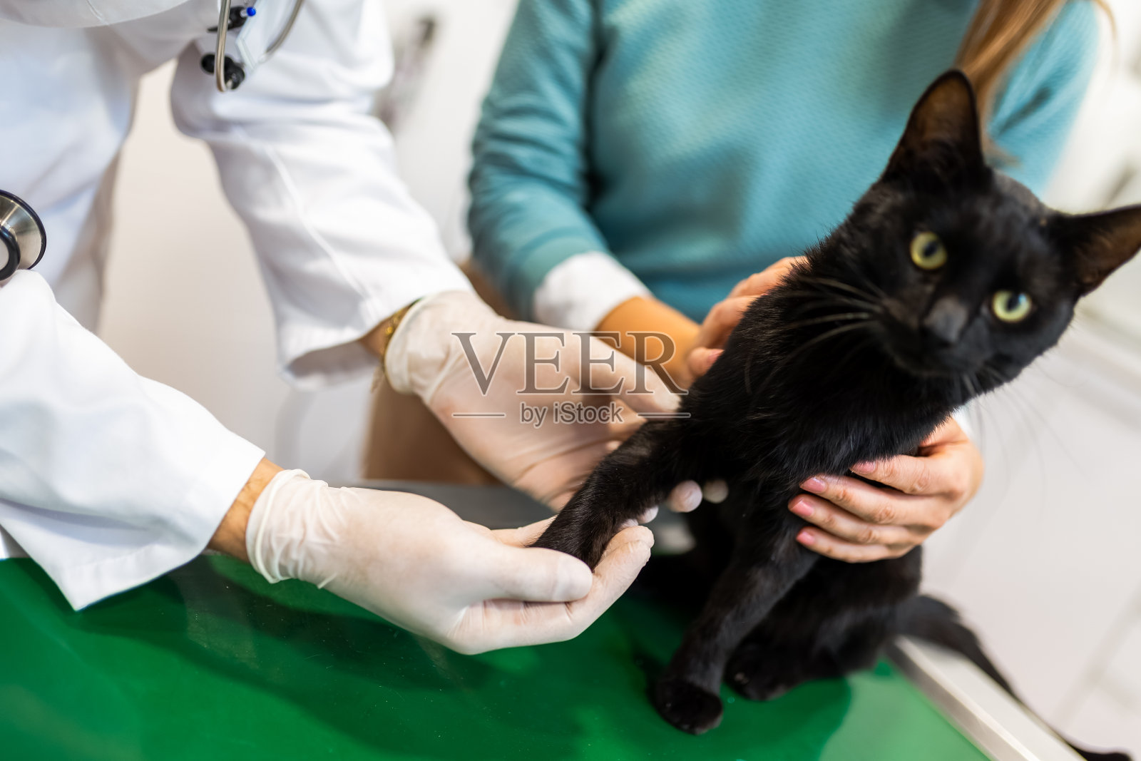 一个年轻的兽医，在现代兽医诊所里检查一只猫。照片摄影图片