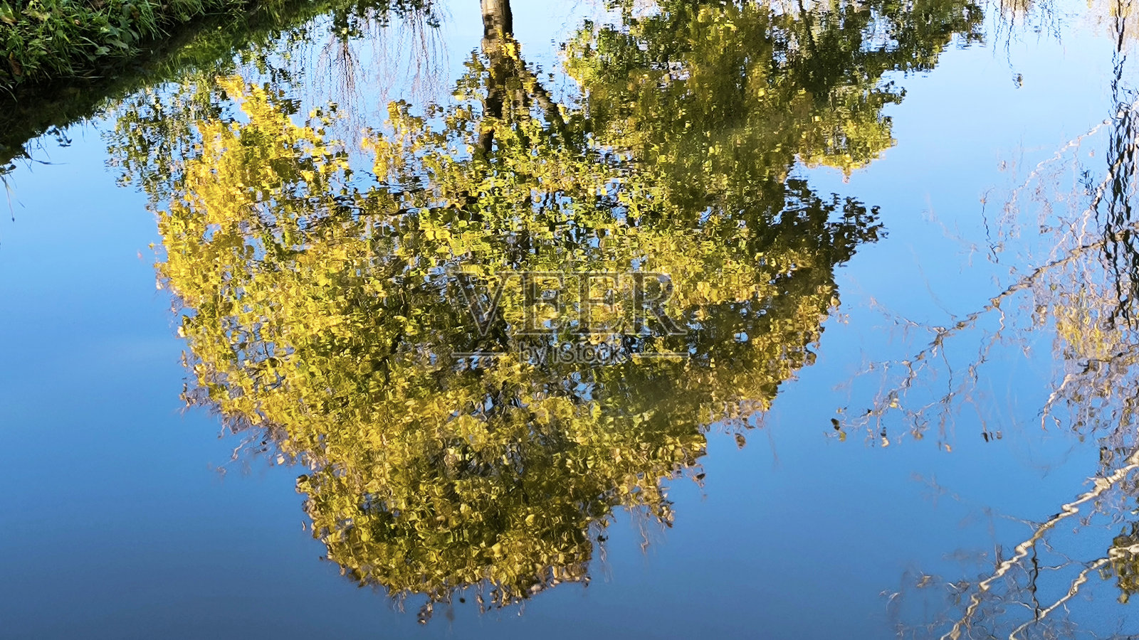 伏伊伏丁那省巴基彼得罗瓦茨五彩缤纷的秋天照片摄影图片