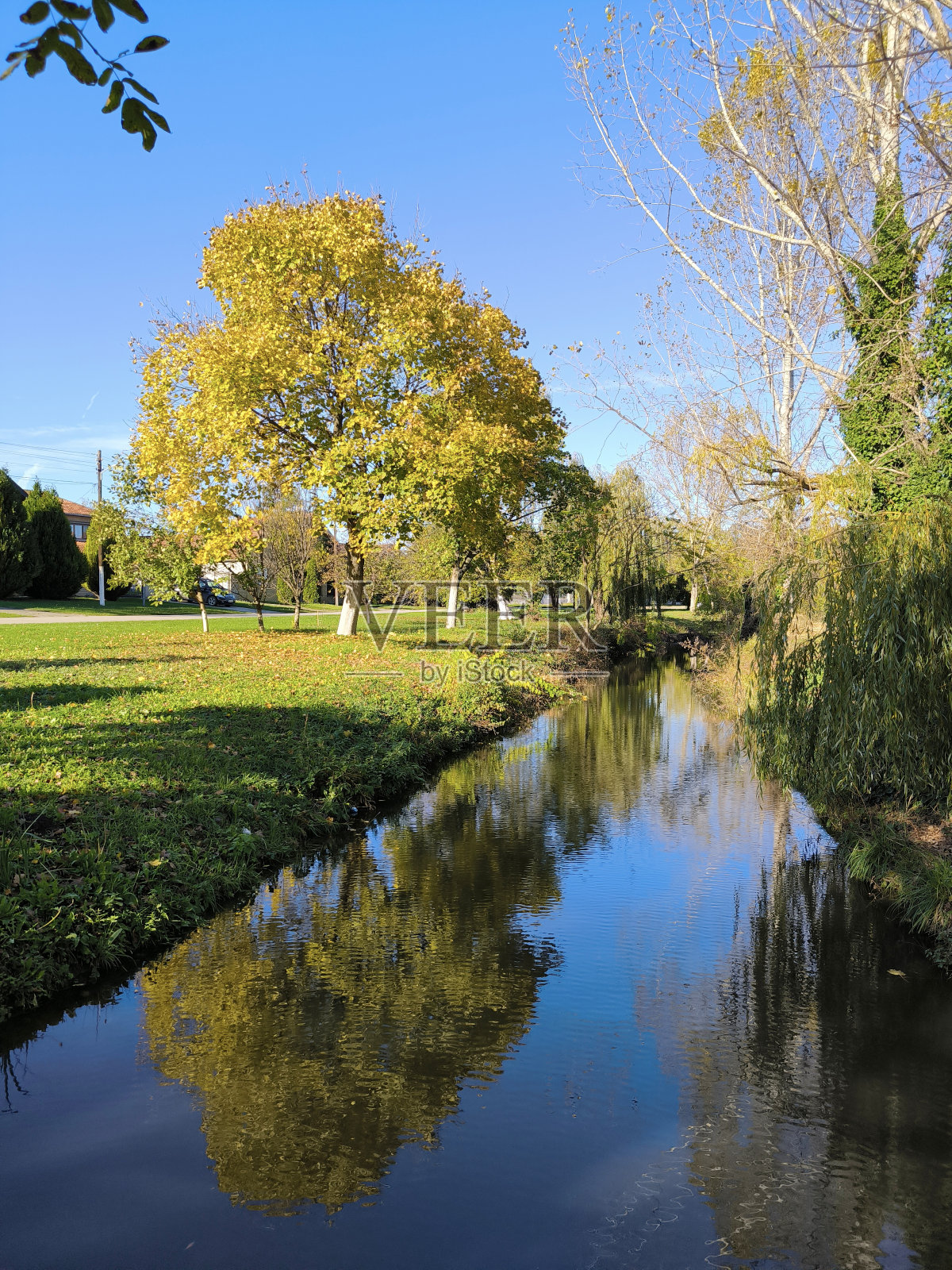 伏伊伏丁那省巴基彼得罗瓦茨五彩缤纷的秋天照片摄影图片