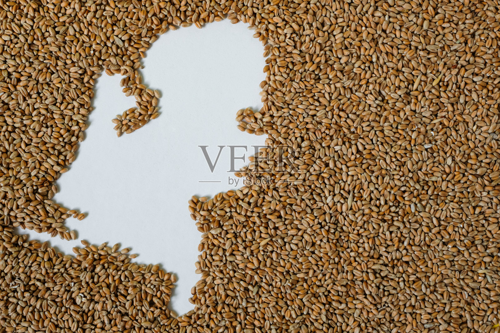 荷兰地图上满是麦粒。副本的空间。照片摄影图片